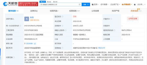 四川路橋比亞迪合資礦業公司注銷 跨界合作落幕，互聯網銷售模式下的礦業轉型反思